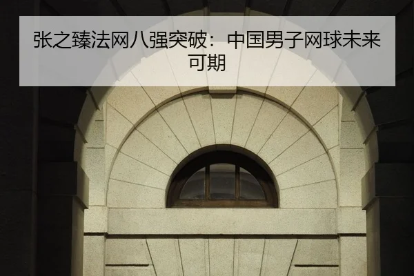 张之臻法网八强突破：中国男子网球未来可期